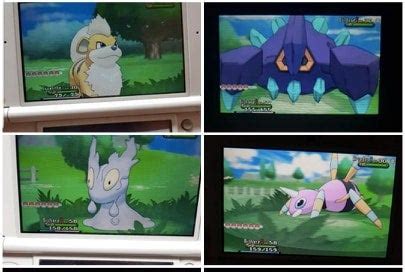 Friend Safari Thread .